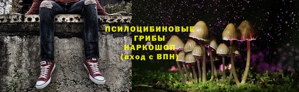 мдпв Тутаев