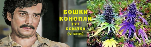 стаф Тобольск