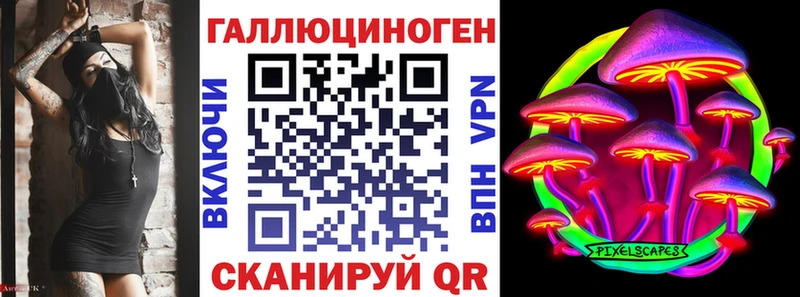 Купить закладки  Катав-Ивановск  Псилоцибиновые грибы Magic Shrooms 